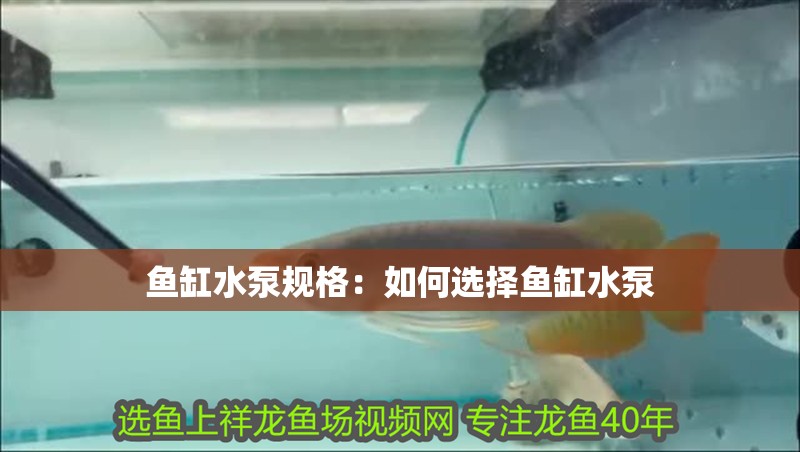 魚缸水泵規(guī)格：如何選擇魚缸水泵