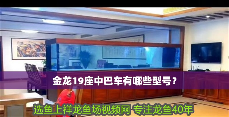 金龍19座中巴車有哪些型號？