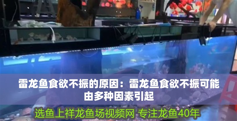 雷龍魚食欲不振的原因：雷龍魚食欲不振可能由多種因素引起