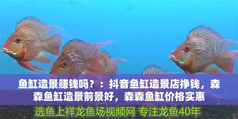 魚缸造景賺錢嗎？：抖音魚缸造景店掙錢，森森魚缸造景前景好，森森魚缸價格實惠