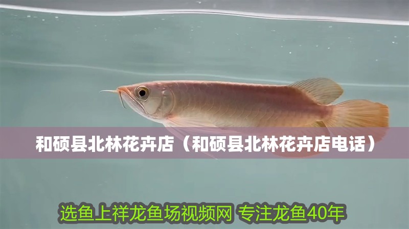 和碩縣北林花卉店（和碩縣北林花卉店電話）