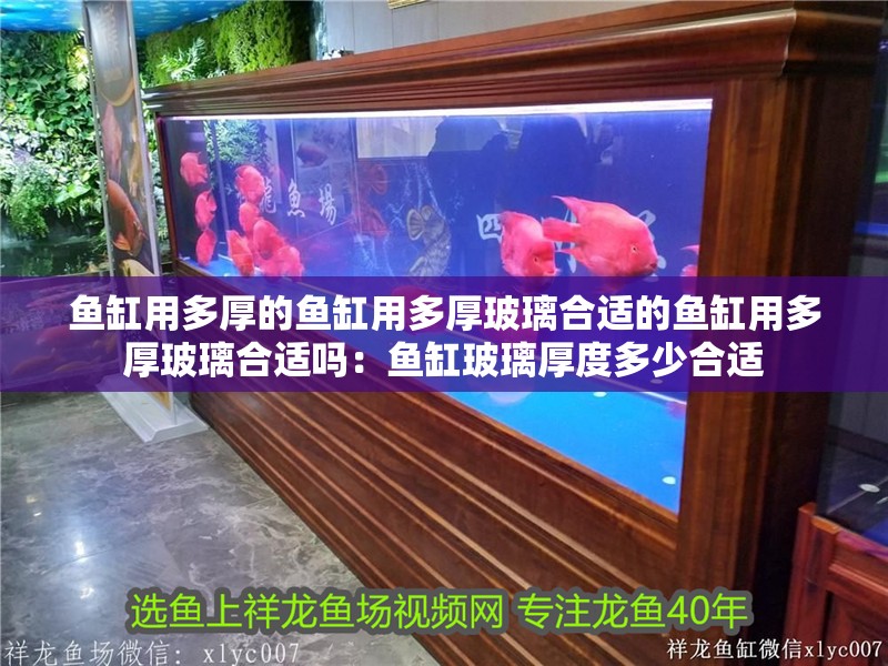 魚缸用多厚的魚缸用多厚玻璃合適的魚缸用多厚玻璃合適嗎：魚缸玻璃厚度多少合適