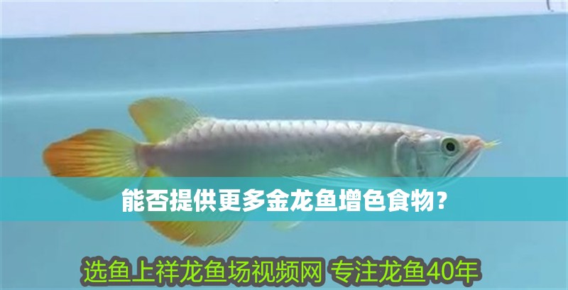 能否提供更多金龍魚增色食物？