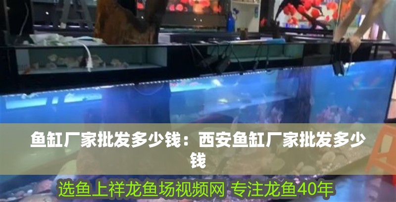 魚缸廠家批發多少錢：<strong><mark>西安</mark></strong>魚缸廠家批發多少錢