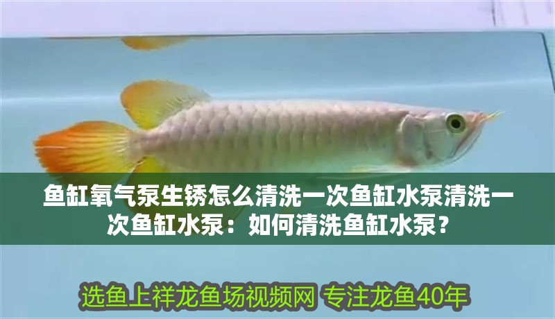魚缸氧氣泵生銹怎么清洗一次魚缸水泵清洗一次魚缸水泵：如何清洗魚缸水泵？ 魚缸氧氣泵生銹怎么清洗一次魚缸水泵清洗一次魚缸水泵：如何清洗魚缸水泵？ 魚缸百科