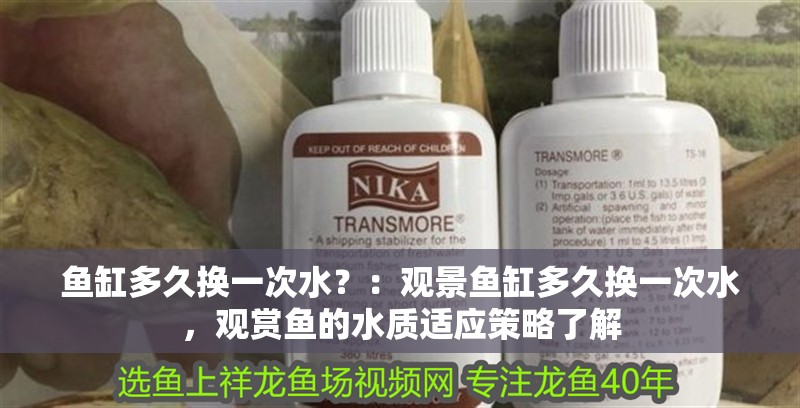 魚缸過濾器選購指南:自制魚缸過濾器魚缸上置過濾器對于養魚愛好者的必備知識 魚缸多久換一次水?:觀景魚缸多久換一次水,觀賞魚的水質適應策略了解 魚缸百科 魚缸多久換一次水?:觀景魚缸多久換一次水,觀賞魚的水質適應策略了解 魚缸多久換一次水?:觀景魚缸多久換一次水,觀賞魚的水質適應策略了解 魚缸百科