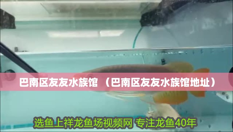 巴南區(qū)友友水族館 （巴南區(qū)友友水族館地址）