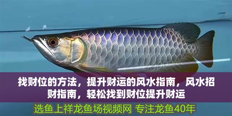 找財位的方法，提升財運的風水指南，風水招財指南，輕松找到財位提升財運 找財位的方法，提升財運的風水指南，風水招財指南，輕松找到財位提升財運 龍魚百科 第1張