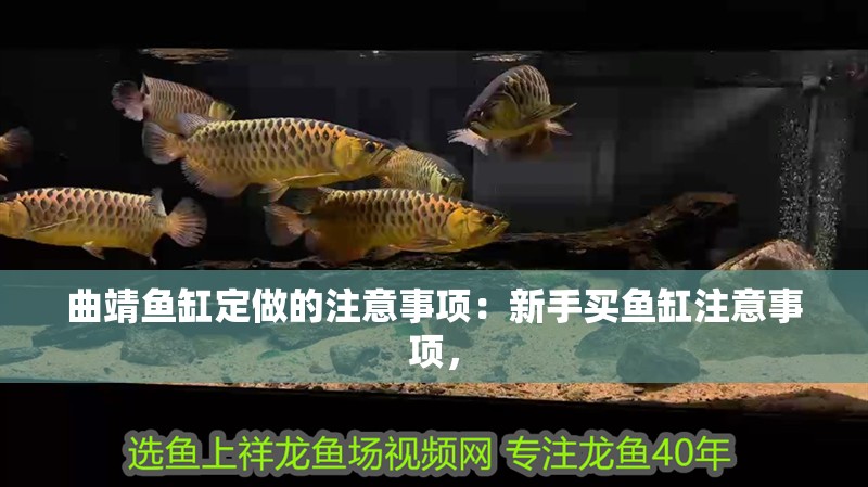 曲靖魚缸定做的注意事項：新手買魚缸注意事項，