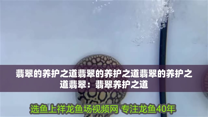 翡翠的養護之道翡翠的養護之道翡翠的養護之道翡翠：翡翠養護之道