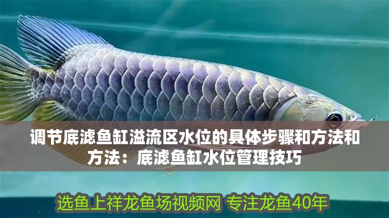 調節底濾魚缸溢流區水位的具體步驟和方法和方法：底濾魚缸水位管理技巧