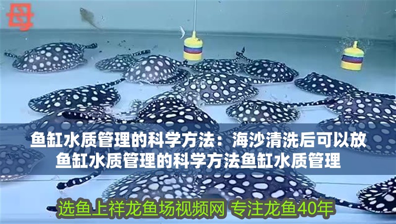 魚缸水質管理的科學方法：海沙清洗后可以放魚缸水質管理的科學方法魚缸水質管理