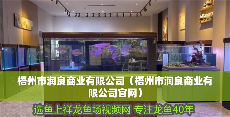 梧州市潤良商業有限公司（梧州市潤良商業有限公司官網）