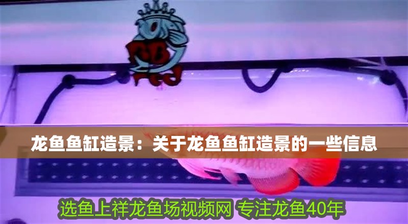 龍魚魚缸造景：關于龍魚魚缸造景的一些信息