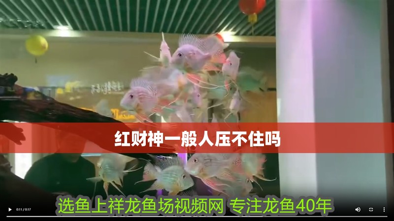 紅財神一般人壓不住嗎