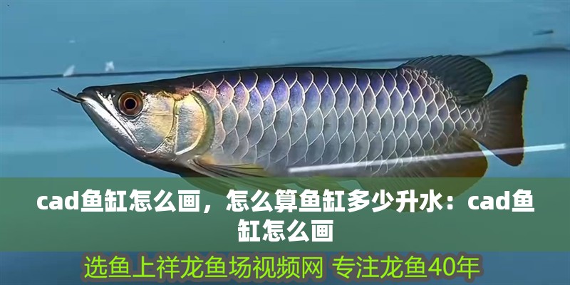 cad魚缸怎么畫，怎么算魚缸多少升水：cad魚缸怎么畫 cad魚缸怎么畫，怎么算魚缸多少升水：cad魚缸怎么畫 魚缸百科