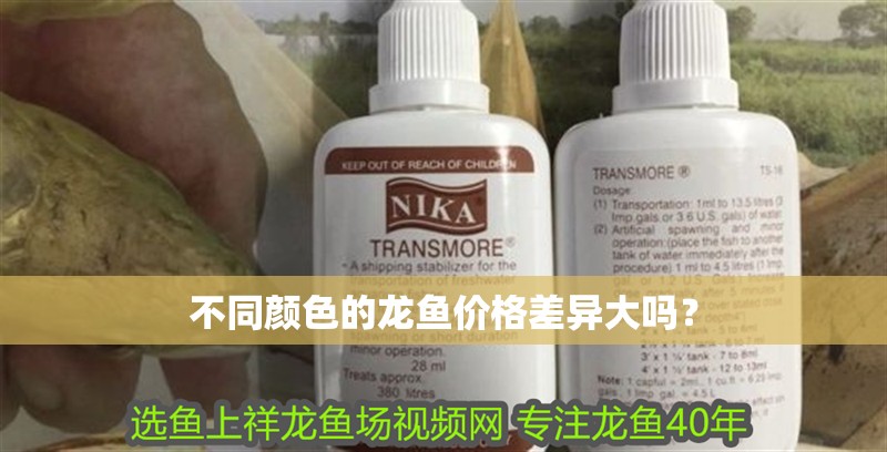 不同顏色的龍魚價格差異大嗎？