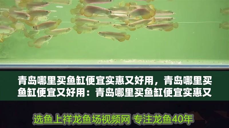 青島哪里買魚缸便宜實惠又好用，青島哪里買魚缸便宜又好用：青島哪里買魚缸便宜實惠又好用