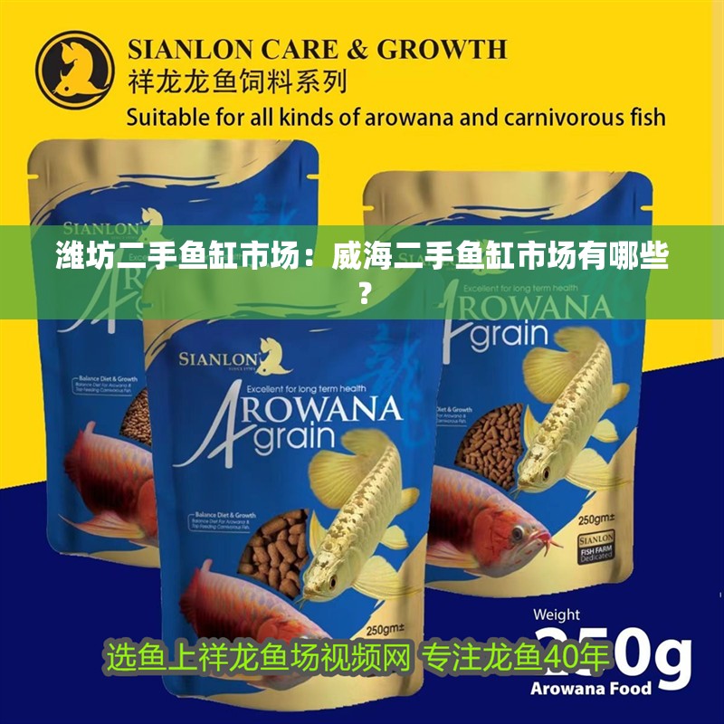 濰坊二手魚缸市場：威海二手魚缸市場有哪些？