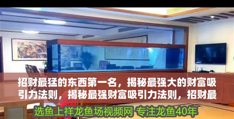 招財(cái)最猛的東西第一名，揭秘最強(qiáng)大的財(cái)富吸引力法則，揭秘最強(qiáng)財(cái)富吸引力法則，招財(cái)最猛的終極秘訣