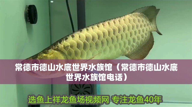 魚缸用增氧泵價格是多少:魚缸增氧機-xtrac增氧機-xtrac增氧機 常德市德山水底世界水族館(常德市德山水底世界水族館電話) 全國水族館企業名錄 常德市德山水底世界水族館(常德市德山水底世界水族館電話) 常德市德山水底世界水族館(常德市德山水底世界水族館電話) 全國水族館企業名錄