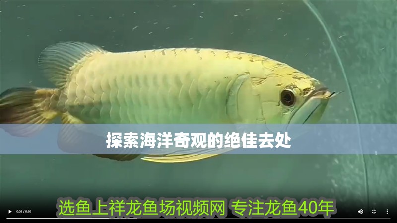探索海洋奇觀的絕佳去處