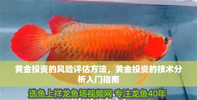 黃金投資的風(fēng)險(xiǎn)評(píng)估方法，黃金投資的技術(shù)分析入門指南