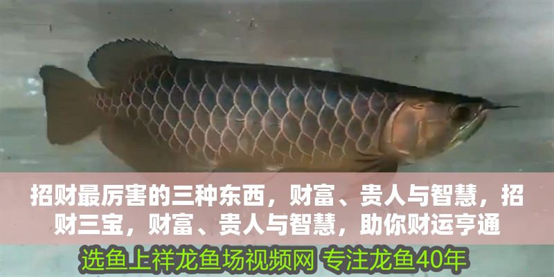 招財(cái)最厲害的三種東西，財(cái)富、貴人與智慧，招財(cái)三寶，財(cái)富、貴人與智慧，助你財(cái)運(yùn)亨通