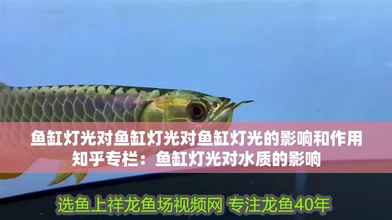 魚缸燈光對魚缸燈光對魚缸燈光的影響和作用知乎專欄：魚缸燈光對水質(zhì)的影響