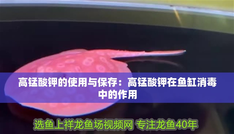 高錳酸鉀的使用與保存：高錳酸鉀在魚缸消毒中的作用 高錳酸鉀的使用與保存：高錳酸鉀在魚缸消毒中的作用 魚缸百科