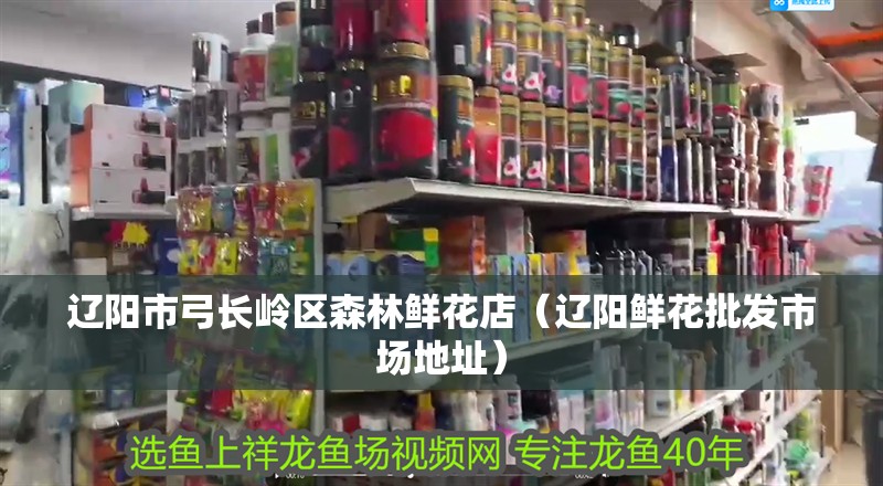 遼陽市弓長嶺區(qū)森林鮮花店（遼陽鮮花批發(fā)市場地址）