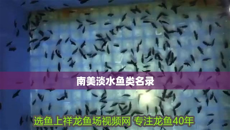 南美淡水魚(yú)類(lèi)名錄