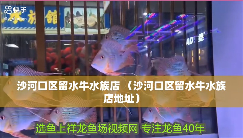 沙河口區(qū)留水牛水族店 （沙河口區(qū)留水牛水族店地址） 沙河口區(qū)留水牛水族店 （沙河口區(qū)留水牛水族店地址） 全國水族館企業(yè)名錄