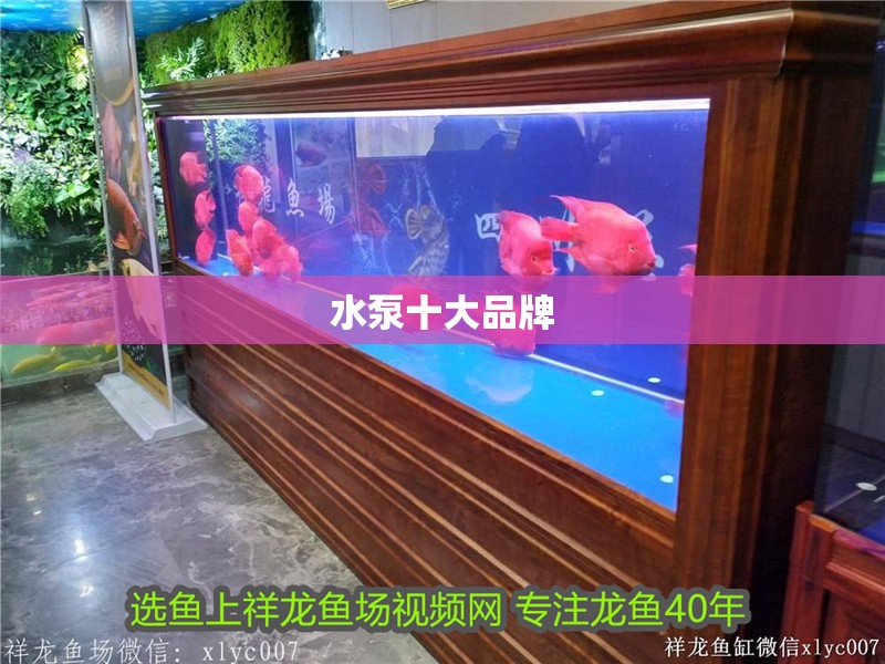 水泵十大品牌