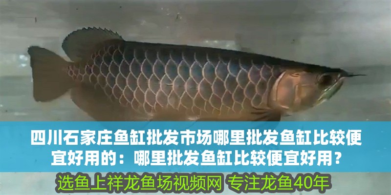 <strong><mark>四川</mark></strong>石家莊魚缸批發(fā)市場(chǎng)哪里批發(fā)魚缸比較便宜好用的：哪里批發(fā)魚缸比較便宜好用？