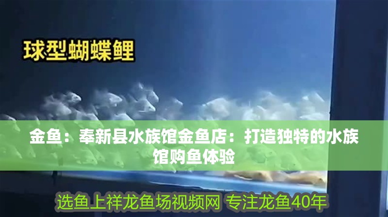 龍魚干蝦有營養嗎 金魚:奉新縣水族館金魚店:打造獨特的水族館購魚體驗 全國水族館企業名錄 金魚:奉新縣水族館金魚店:打造獨特的水族館購魚體驗 金魚:奉新縣水族館金魚店:打造獨特的水族館購魚體驗 全國水族館企業名錄