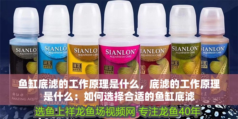 魚缸底濾的工作原理是什么，底濾的工作原理是什么：如何選擇合適的魚缸底濾