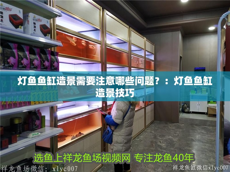 燈魚魚缸造景需要注意哪些問題？：燈魚魚缸造景技巧