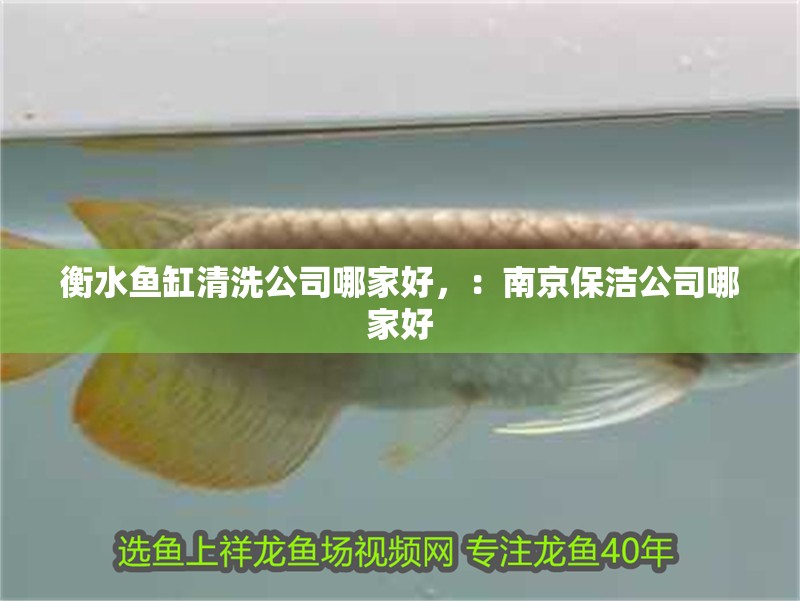 衡水魚(yú)缸清洗公司哪家好，：南京保潔公司哪家好