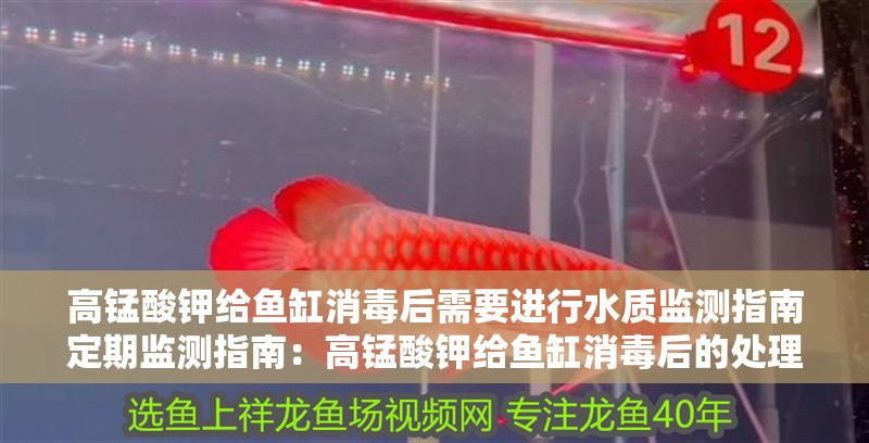 高錳酸鉀給魚缸消毒后需要進行水質監測指南定期監測指南：高錳酸鉀給魚缸消毒后的處理方法
