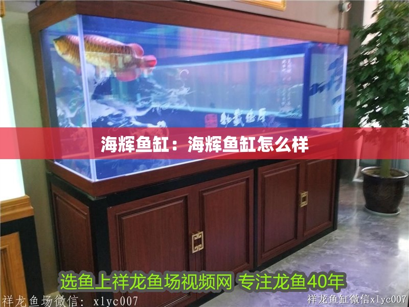 海輝魚缸：海輝魚缸怎么樣