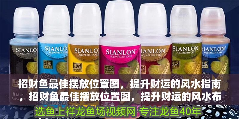 招財魚最佳擺放位置圖，提升財運的風水指南，招財魚最佳擺放位置圖，提升財運的風水布局指南