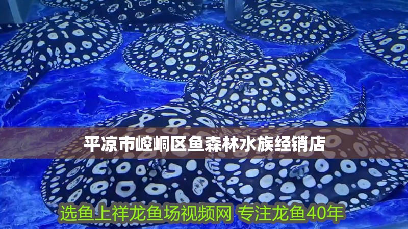 平涼市崆峒區魚森林水族經銷店