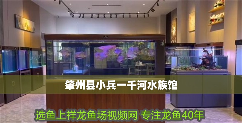 肇州縣小兵一千河水族館 肇州縣小兵一千河水族館 全國水族館企業(yè)名錄
