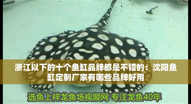 浙江以下的十個魚缸品牌都是不錯的：沈陽魚缸定制廠家有哪些品牌好用