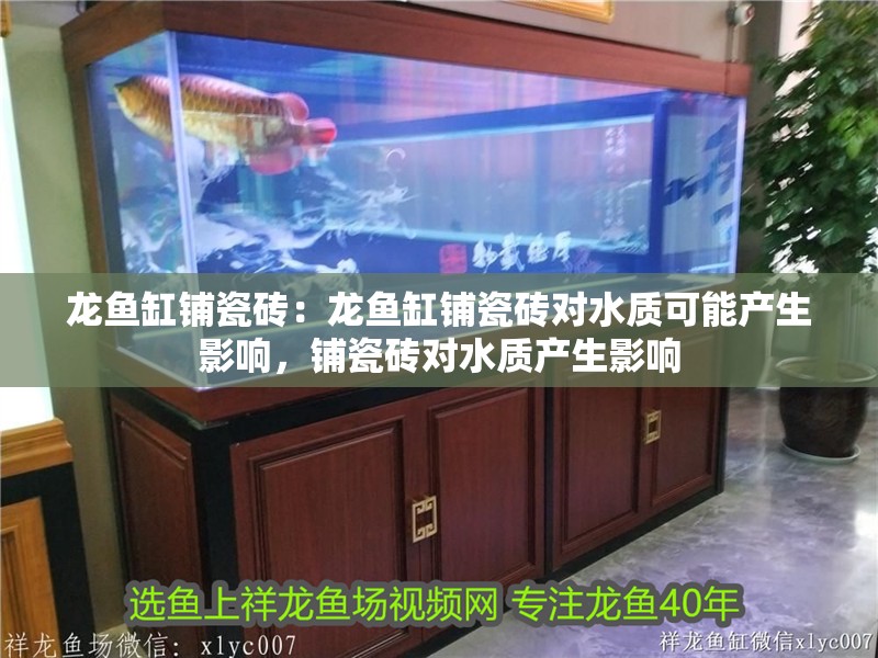龍魚缸鋪瓷磚：龍魚缸鋪瓷磚對水質可能產生影響，鋪瓷磚對水質產生影響