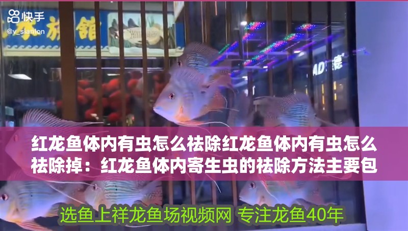 紅龍魚體內(nèi)有蟲怎么祛除紅龍魚體內(nèi)有蟲怎么祛除掉：紅龍魚體內(nèi)寄生蟲的祛除方法主要包括以下幾個步驟 紅龍魚體內(nèi)有蟲怎么祛除紅龍魚體內(nèi)有蟲怎么祛除掉：紅龍魚體內(nèi)寄生蟲的祛除方法主要包括以下幾個步驟 龍魚百科