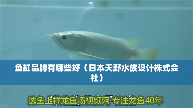 魚缸品牌有哪些好（日本天野水族設計株式會社）