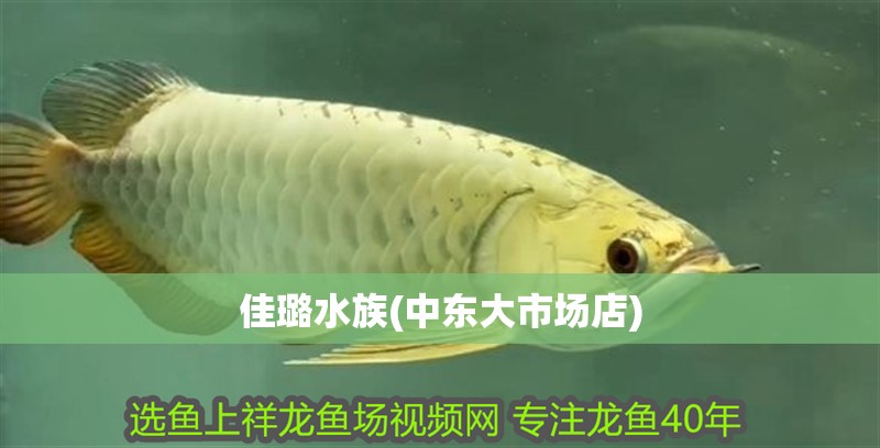 佳璐水族(中東大市場店)