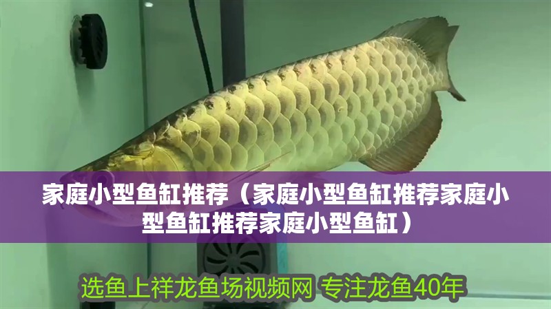 家庭小型魚缸推薦（家庭小型魚缸推薦家庭小型魚缸推薦家庭小型魚缸）